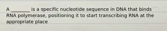 A ________ is a specific nucleotide sequence in DNA that binds RNA polymerase, positioning it to start transcribing RNA at the appropriate place