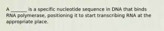 A _______ is a specific nucleotide sequence in DNA that binds RNA polymerase, positioning it to start transcribing RNA at the appropriate place.