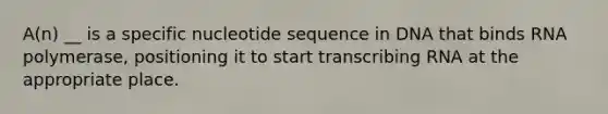 A(n) __ is a specific nucleotide sequence in DNA that binds RNA polymerase, positioning it to start transcribing RNA at the appropriate place.