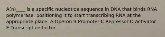 A(n)____ is a specific nucleotide sequence in DNA that binds RNA polymerase, positioning it to start transcribing RNA at the appropriate place. A Operon B Promoter C Repressor D Activator E Transcription factor