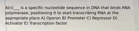 A(n)___ is a specific nucleotide sequence in DNA that binds RNA polymerase, positioning it to start transcribing RNA at the appropriate place A) Operon B) Promoter C) Repressor D) Activator E) Transcription factor