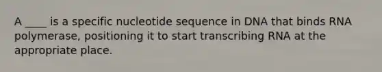 A ____ is a specific nucleotide sequence in DNA that binds RNA polymerase, positioning it to start transcribing RNA at the appropriate place.