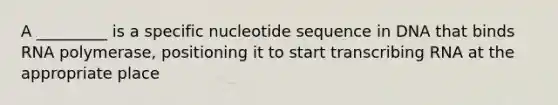 A _________ is a specific nucleotide sequence in DNA that binds RNA polymerase, positioning it to start transcribing RNA at the appropriate place