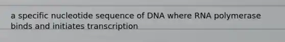 a specific nucleotide sequence of DNA where RNA polymerase binds and initiates transcription