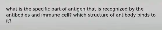 what is the specific part of antigen that is recognized by the antibodies and immune cell? which structure of antibody binds to it?