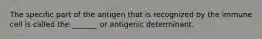 The specific part of the antigen that is recognized by the immune cell is called the _______ or antigenic determinant.