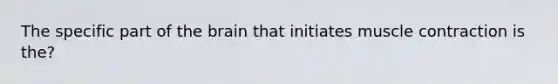 The specific part of the brain that initiates muscle contraction is the?