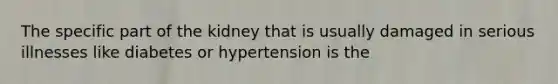 The specific part of the kidney that is usually damaged in serious illnesses like diabetes or hypertension is the