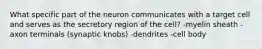 What specific part of the neuron communicates with a target cell and serves as the secretory region of the cell? -myelin sheath -axon terminals (synaptic knobs) -dendrites -cell body