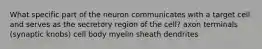 What specific part of the neuron communicates with a target cell and serves as the secretory region of the cell? axon terminals (synaptic knobs) cell body myelin sheath dendrites