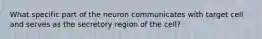 What specific part of the neuron communicates with target cell and serves as the secretory region of the cell?