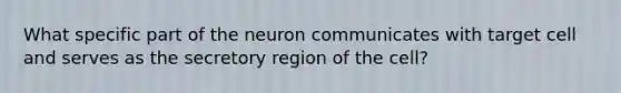 What specific part of the neuron communicates with target cell and serves as the secretory region of the cell?