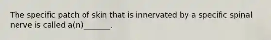 The specific patch of skin that is innervated by a specific spinal nerve is called a(n)_______.