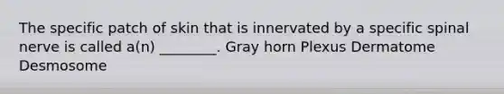 The specific patch of skin that is innervated by a specific spinal nerve is called a(n) ________. Gray horn Plexus Dermatome​ Desmosome