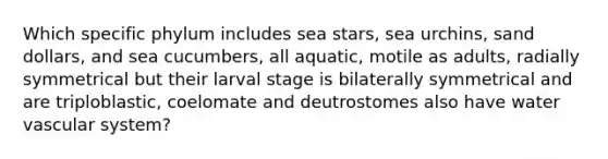 Which specific phylum includes sea stars, sea urchins, sand dollars, and sea cucumbers, all aquatic, motile as adults, radially symmetrical but their larval stage is bilaterally symmetrical and are triploblastic, coelomate and deutrostomes also have water vascular system?