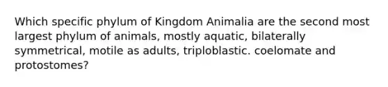 Which specific phylum of Kingdom Animalia are the second most largest phylum of animals, mostly aquatic, bilaterally symmetrical, motile as adults, triploblastic. coelomate and protostomes?