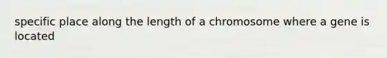 specific place along the length of a chromosome where a gene is located