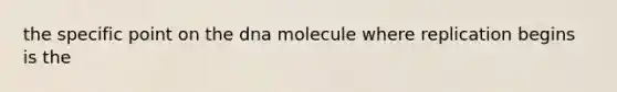 the specific point on the dna molecule where replication begins is the