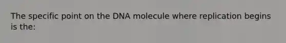 The specific point on the DNA molecule where replication begins is the: