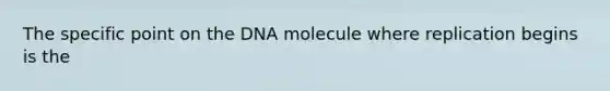 The specific point on the DNA molecule where replication begins is the