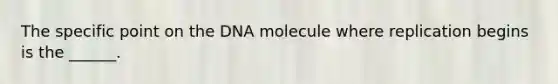 The specific point on the DNA molecule where replication begins is the ______.