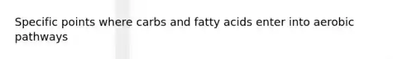 Specific points where carbs and fatty acids enter into aerobic pathways