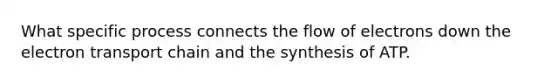 What specific process connects the flow of electrons down <a href='https://www.questionai.com/knowledge/k57oGBr0HP-the-electron-transport-chain' class='anchor-knowledge'>the electron transport chain</a> and the synthesis of ATP.