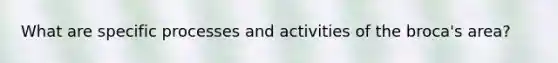 What are specific processes and activities of the broca's area?