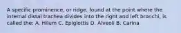 A specific prominence, or ridge, found at the point where the internal distal trachea divides into the right and left bronchi, is called the: A. Hilum C. Epiglottis D. Alveoli B. Carina