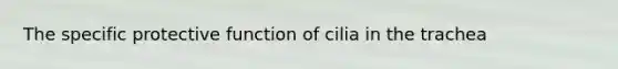 The specific protective function of cilia in the trachea