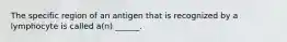 The specific region of an antigen that is recognized by a lymphocyte is called a(n) ______.