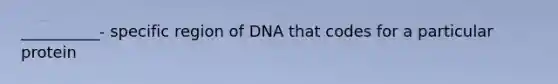 __________- specific region of DNA that codes for a particular protein