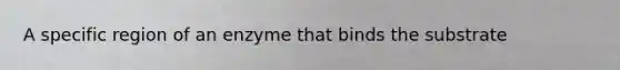 A specific region of an enzyme that binds the substrate