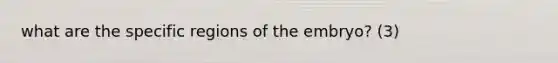 what are the specific regions of the embryo? (3)