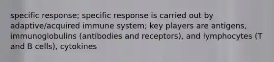 specific response; specific response is carried out by adaptive/acquired immune system; key players are antigens, immunoglobulins (antibodies and receptors), and lymphocytes (T and B cells), cytokines