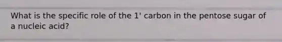 What is the specific role of the 1' carbon in the pentose sugar of a nucleic acid?