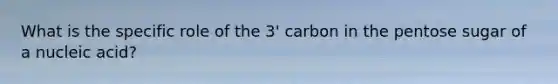 What is the specific role of the 3' carbon in the pentose sugar of a nucleic acid?