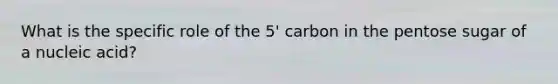 What is the specific role of the 5' carbon in the pentose sugar of a nucleic acid?