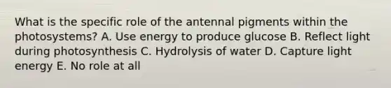 What is the specific role of the antennal pigments within the photosystems? A. Use energy to produce glucose B. Reflect light during photosynthesis C. Hydrolysis of water D. Capture light energy E. No role at all