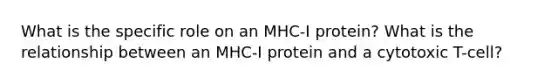 What is the specific role on an MHC-I protein? What is the relationship between an MHC-I protein and a cytotoxic T-cell?