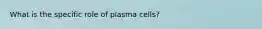 What is the specific role of plasma cells?