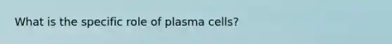 What is the specific role of plasma cells?