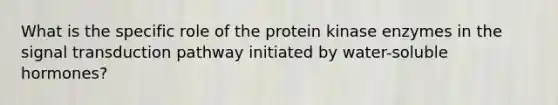 What is the specific role of the protein kinase enzymes in the signal transduction pathway initiated by water-soluble hormones?