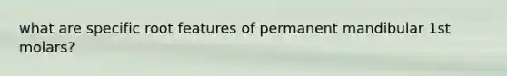 what are specific root features of permanent mandibular 1st molars?