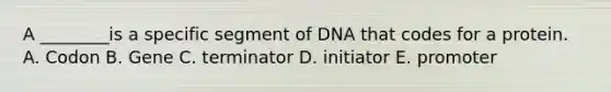 A ________is a specific segment of DNA that codes for a protein. A. Codon B. Gene C. terminator D. initiator E. promoter