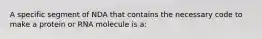 A specific segment of NDA that contains the necessary code to make a protein or RNA molecule is a: