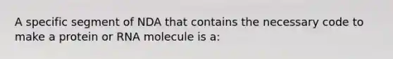 A specific segment of NDA that contains the necessary code to make a protein or RNA molecule is a: