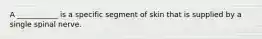 A ___________ is a specific segment of skin that is supplied by a single spinal nerve.