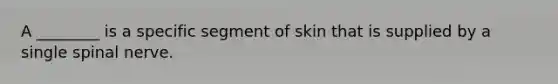 A ________ is a specific segment of skin that is supplied by a single spinal nerve.