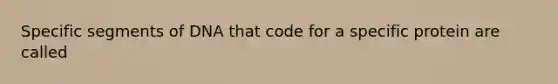 Specific segments of DNA that code for a specific protein are called